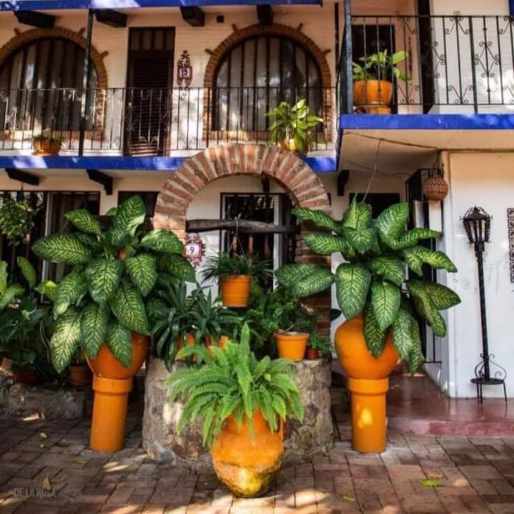 Camino entre Jardines