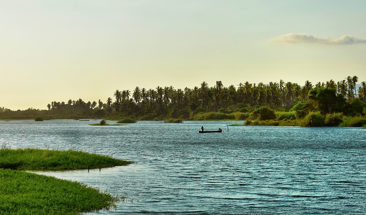 Laguna de Tres Palos