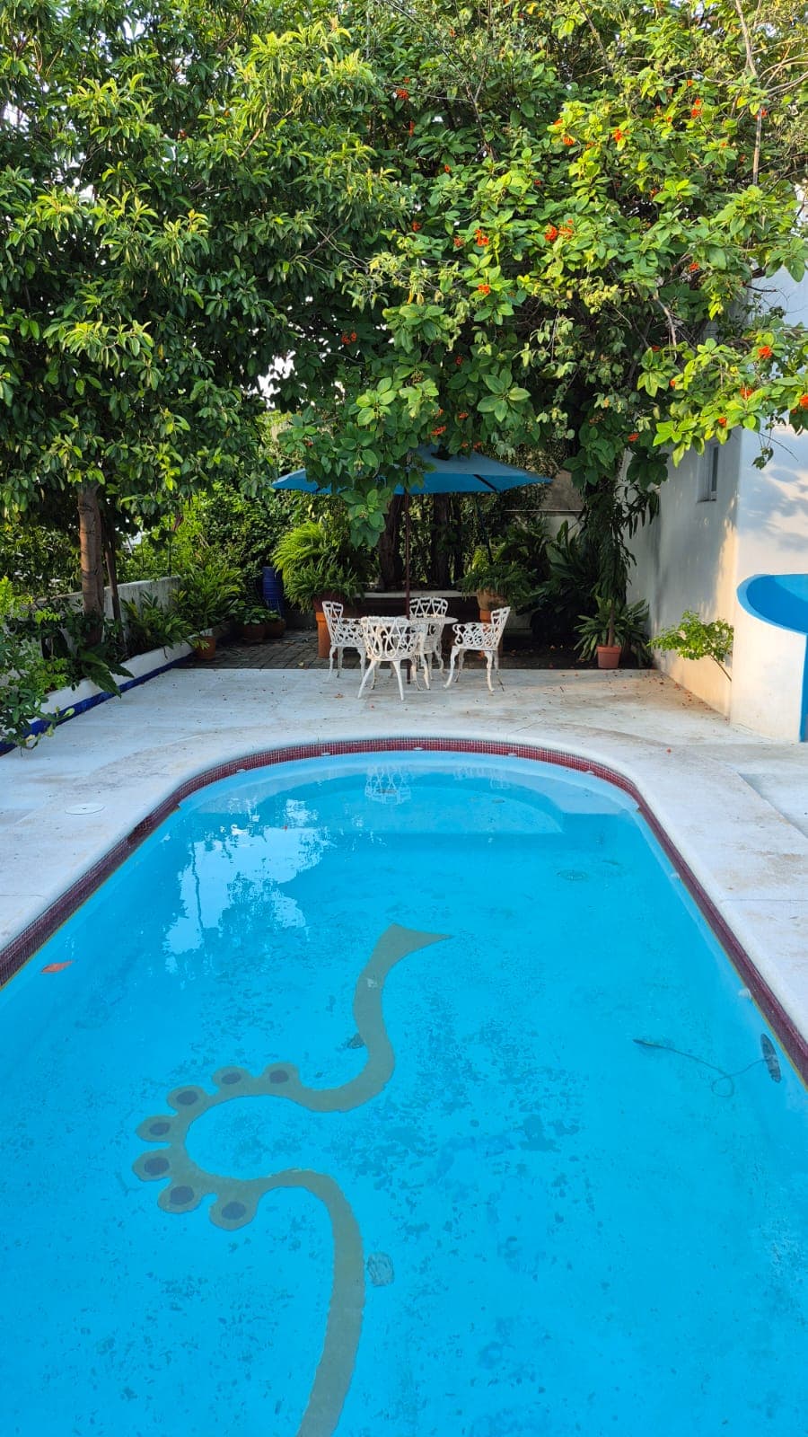 Hotel Mision Y Spa Acapulco imagen 15